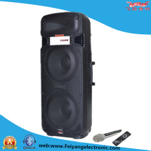 Double 15′′ Big Power Professional Speaker with Wireless Mic F65